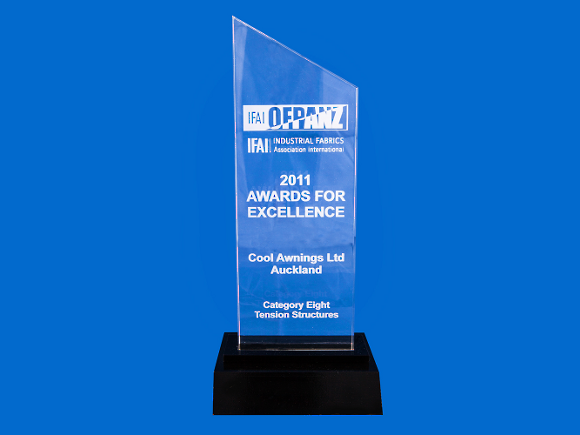2011 Awards For Excellence